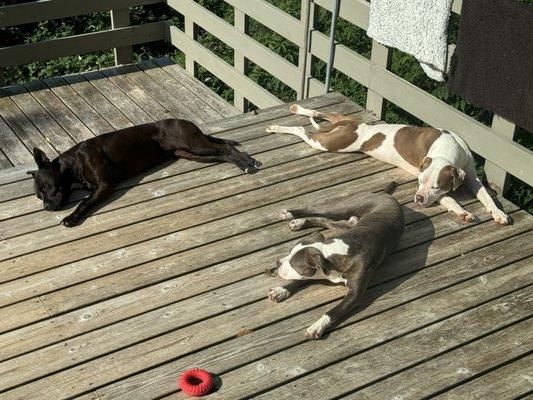 Calm, happy and relaxed