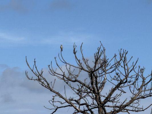 Bell Creek Nature Preserve