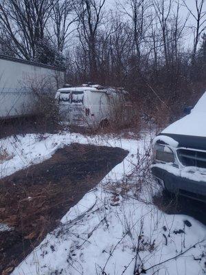 Shaffer's Automotive