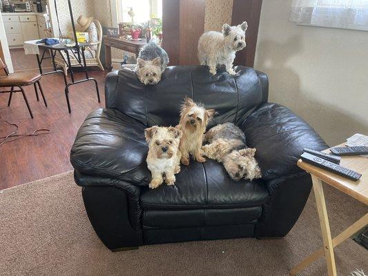 Treasure Valley Veterinary Clinic