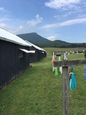 Camp Maxwelton Lachlan