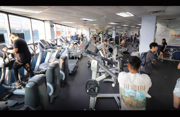 Executive Fitness Gym