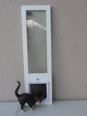 Cat American Toy Window