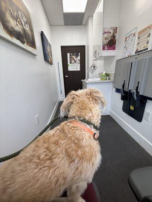 Mountain View Animal Hospital