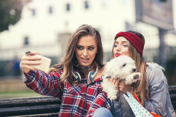 Good Dogs Training Camp