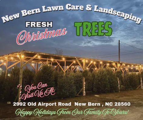 New Bern Lawn Care