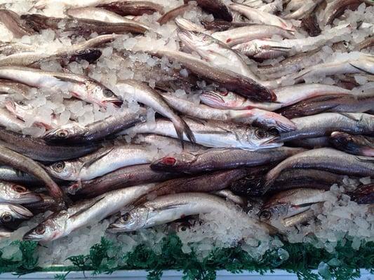 Paterson Seafood & Meat Center