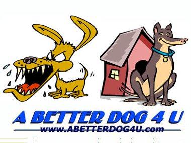 A Better Dog 4U