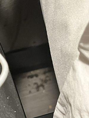 Floor behind the bed.