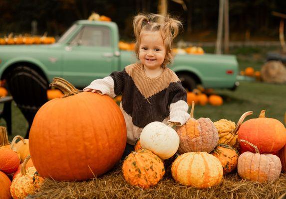 Glowing Meadows Photography