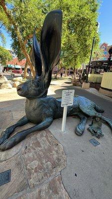 Three Blacktail Jackrabbits