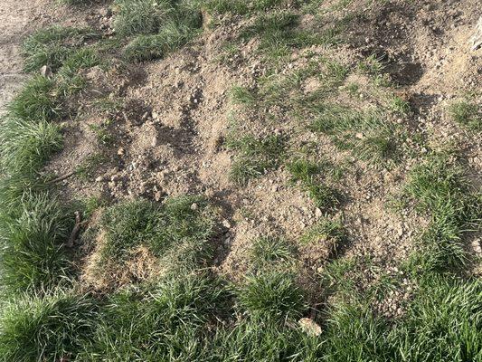 J & R Property Maintenance