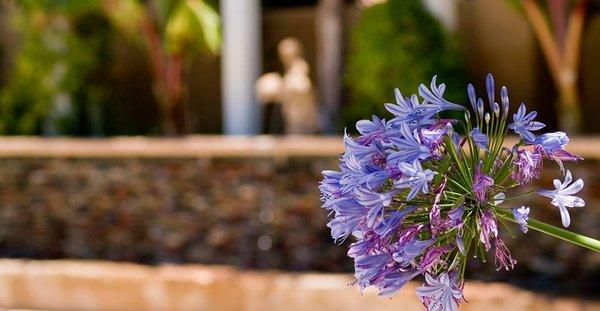 Angels III - Angels on Tracy