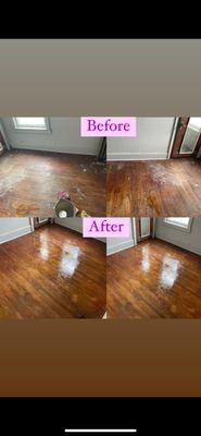 Queens of lavish living