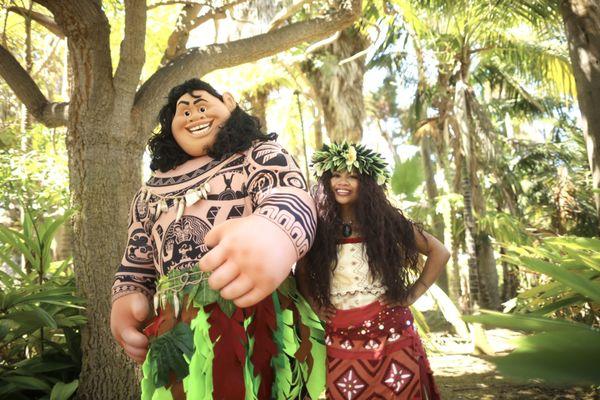 Maui & Moana!