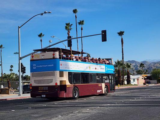 Palm Springs Mod Squad