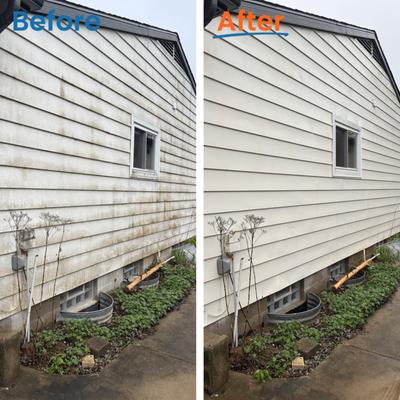 House wash done right here in the heart of Lansing!