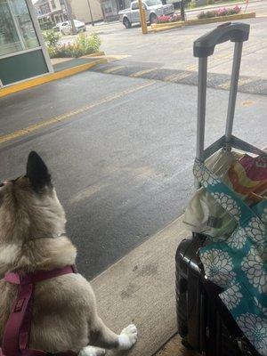 Sitting in the heat. The staff here is evil.