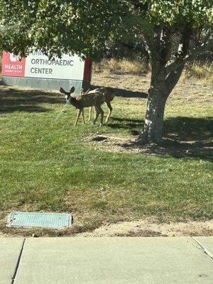 U of U Health University Orthopedic Center Pharmacy
