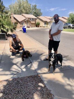 Trooper meeting Mark's Dog