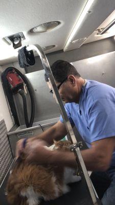 Fernán Pet Grooming