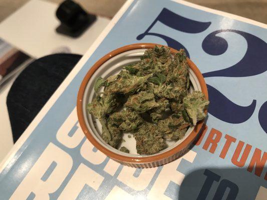 Terrapin Care Station - 33rd Avenue