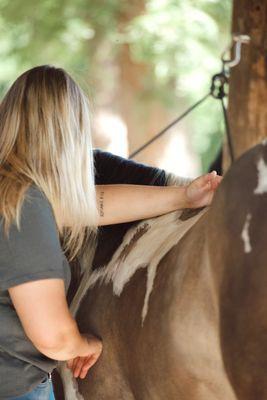 CC equine wellness