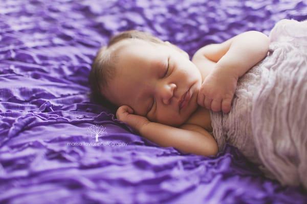 Marisa Taylor Photography