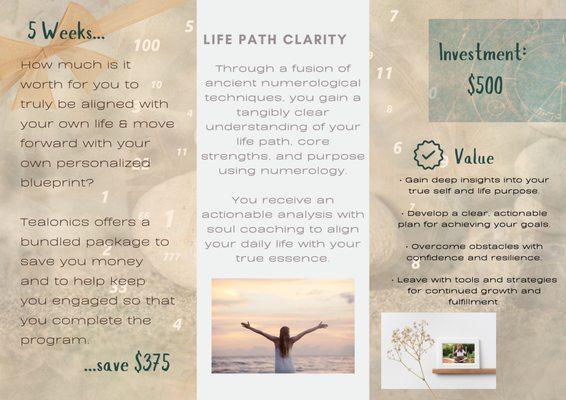 Tealonics Soul Coaching & Metaphysical Wellness