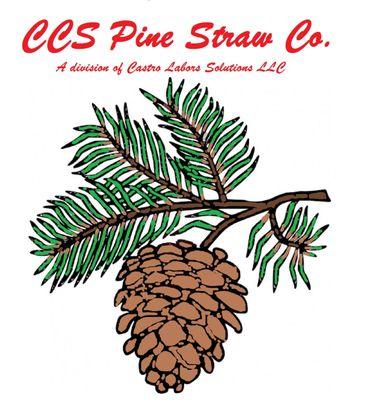 CCS Pine Straw