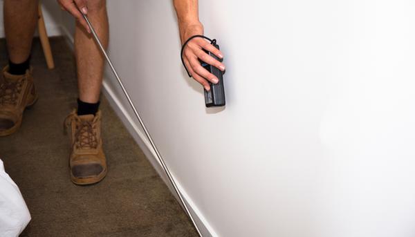 Peach State Termite Removal Experts