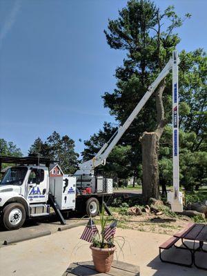 ACA A Cut Above Tree Service