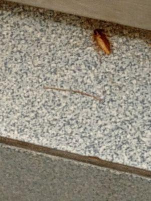 Clean Quarters Laundromat