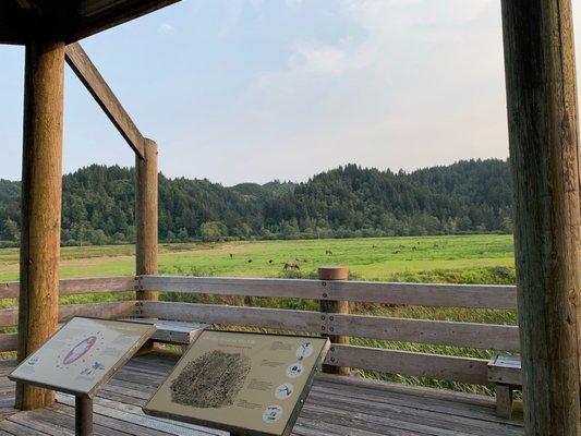Dean Creek Elk Viewing Area