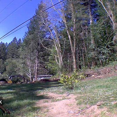 Western Pacific Tree Service