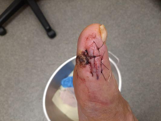 Family Foot and Ankle Specialists