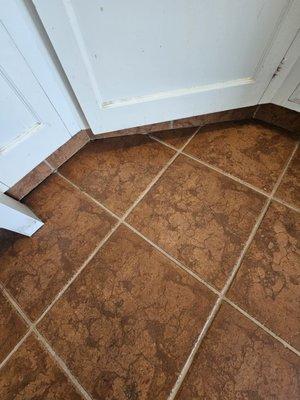 Cleaned tile and grout