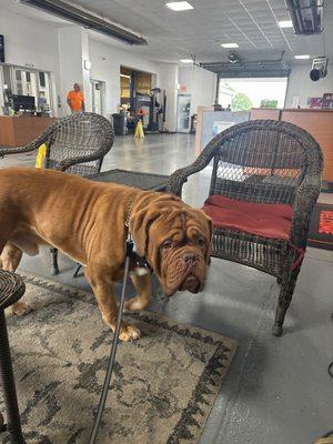 Cadillac Fort Walton Beach