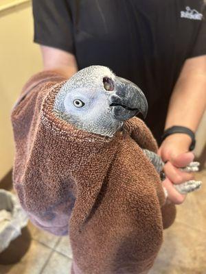 Geneva Oaks Animal Hospital