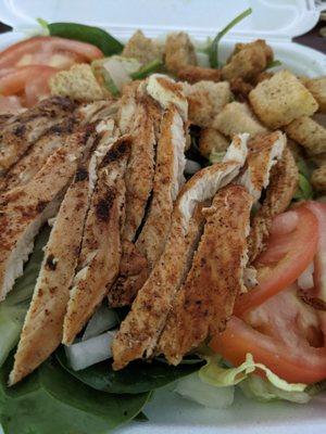 Grilled chicken salad