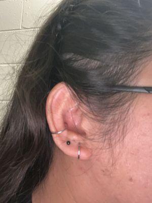 Conch ring, black stud, hoop for my lobes