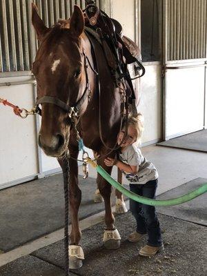 Kelley Rick Performance Horses