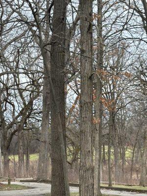 ThunderHawk Golf Club