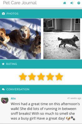 Homeward Bound Dog Walking & Adventure Services