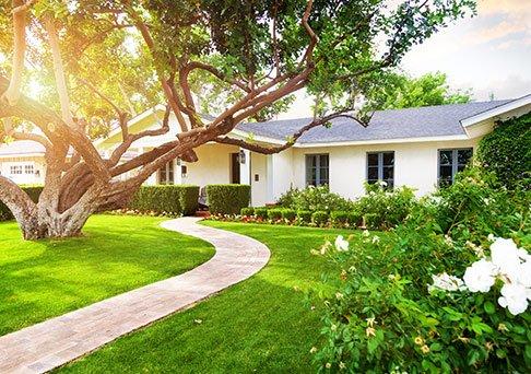 Little David Pest Control