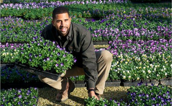 Ahmad Hassan Landscape Services