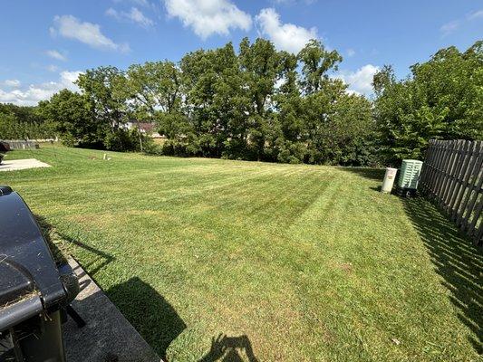 Bush Landscaping & Design