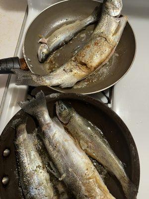 Cantrell Guide Service