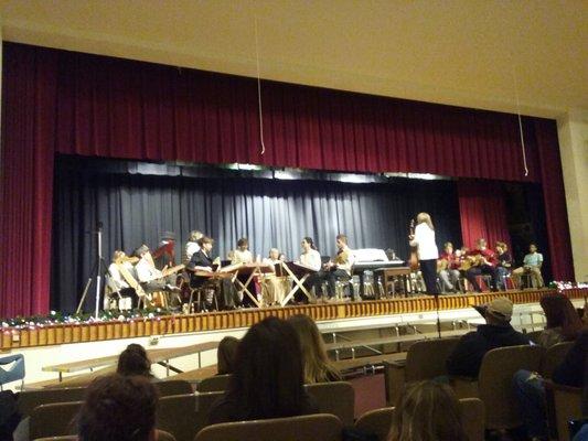 The string and guitar band. You rarely see/hear hammer or mountain dulcimers. Too bad, too, because they sound lovely.