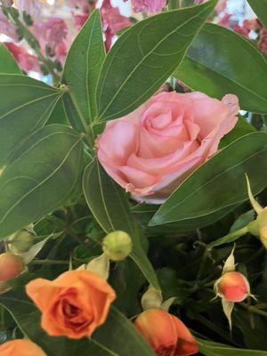 Elia Law Firm - APC Injury Attorneys